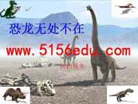 《恐龙无处不在》ppt课件(17页)